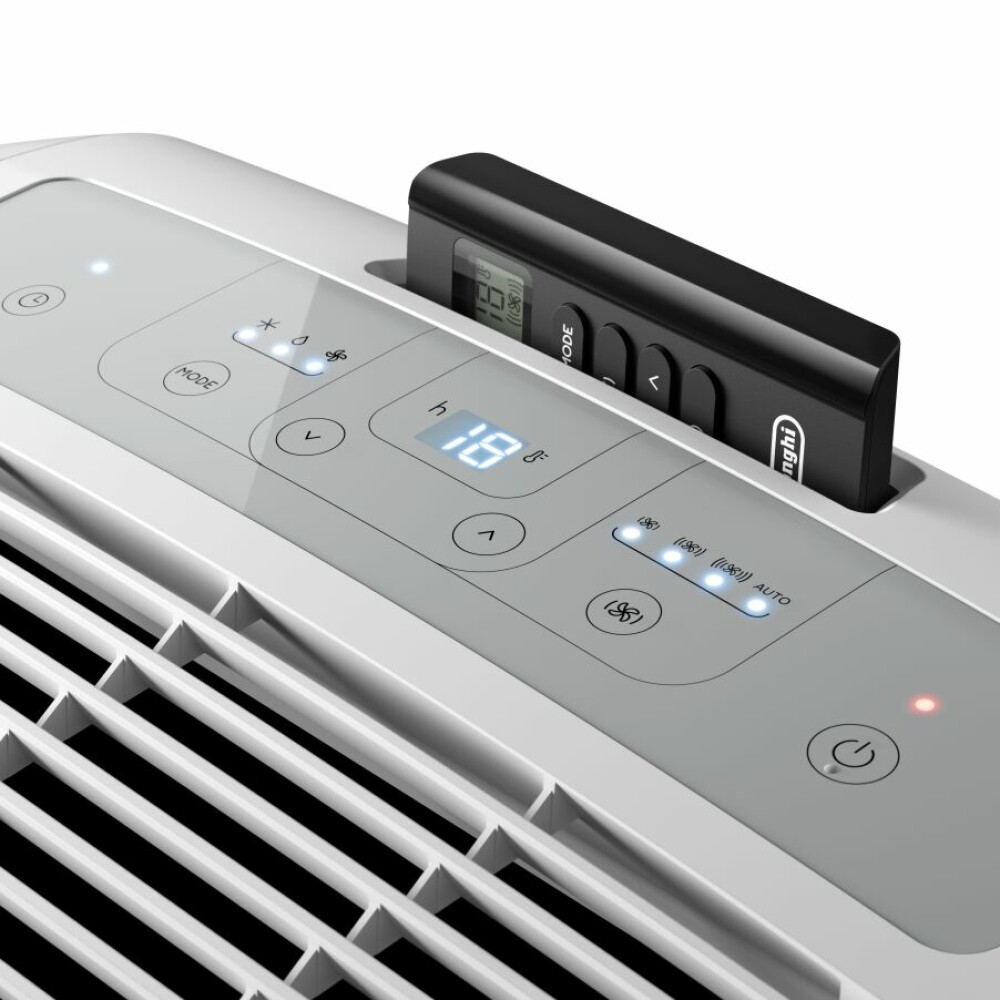 De Longhi PAC EM77 Pinguino Portable 